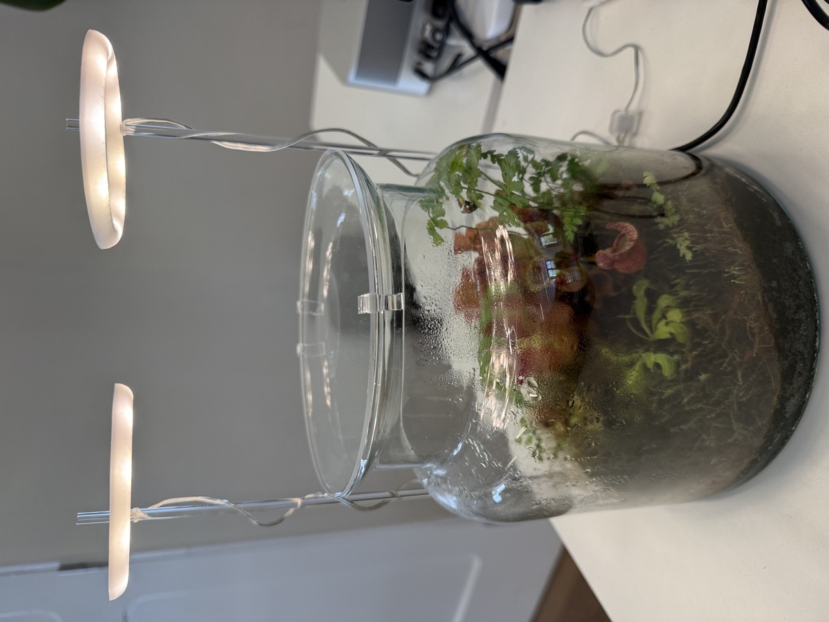 Comparison without AC